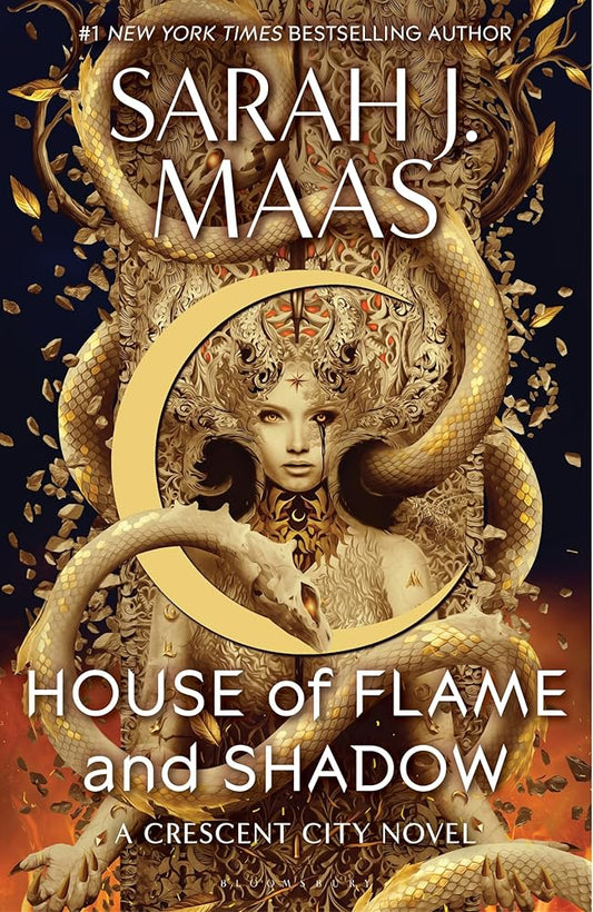 House of Flame and Shadow (International Edition) cover image